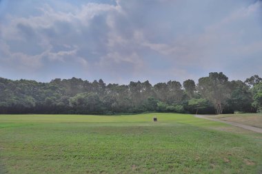 bir yeşil golf sahası fairway sepeti yolunda bulutlu 