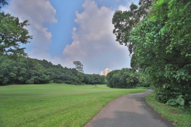 bir yeşil park yol yol golf başabaş