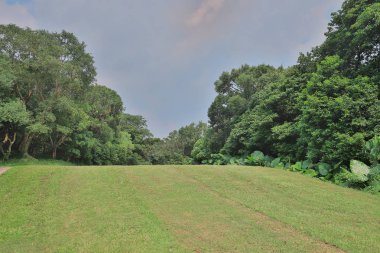 Mükemmel çim golf sahası sahası hk