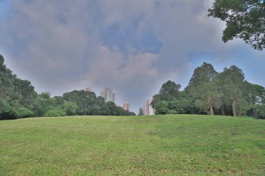 Odak çim golf sahası ve büyük şehir blu