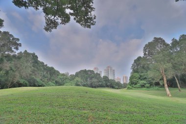 Odak çim golf sahası ve büyük şehir blu