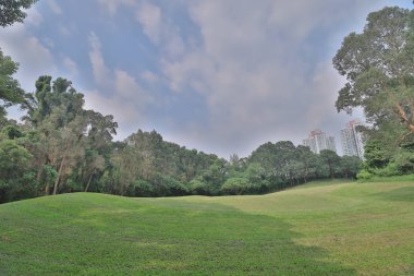 Mükemmel çim golf sahası sahası hk