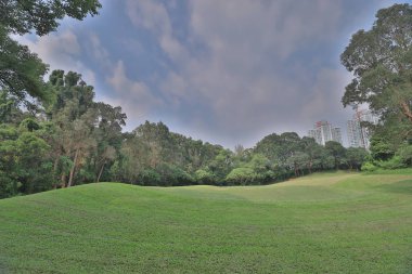 Mükemmel çim golf sahası sahası hk