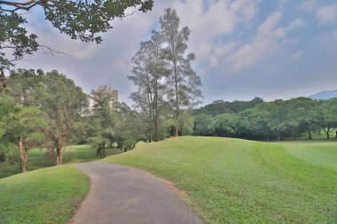 bir yeşil park yol yol golf başabaş