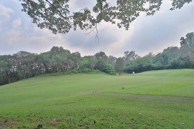 Mükemmel çim golf sahası sahası hk