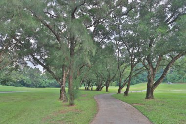 bir yeşil park yol yol golf başabaş