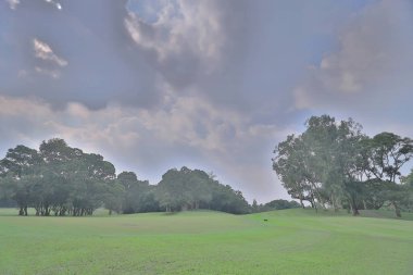 Mükemmel çim golf sahası sahası hk