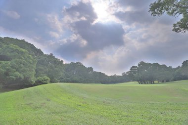 Mükemmel çim golf sahası sahası hk