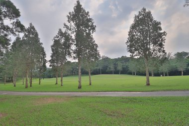 Hong Kong Country Club golf sahası