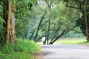 Şube ve ağaçlar. Doğada seyahat.