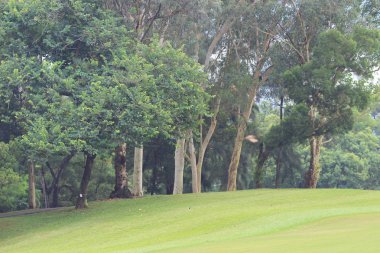 Hong Kong Country Club golf sahası