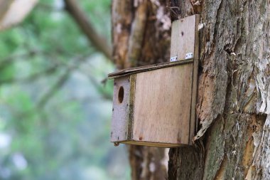 Hong Kong Country Club golf sahası