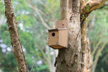 Hong Kong Country Club golf sahası