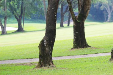 Hong Kong Country Club golf sahası