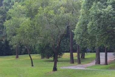 Hong Kong Country Club golf sahası