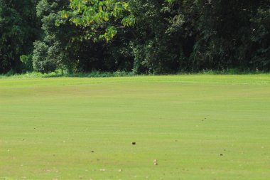 Hong Kong Country Club golf sahası