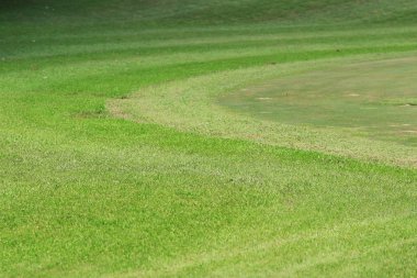 Hong Kong Country Club golf sahası