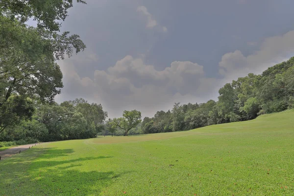 Ein Perfektes Rasengolfplatz Feld Bei — Stockfoto