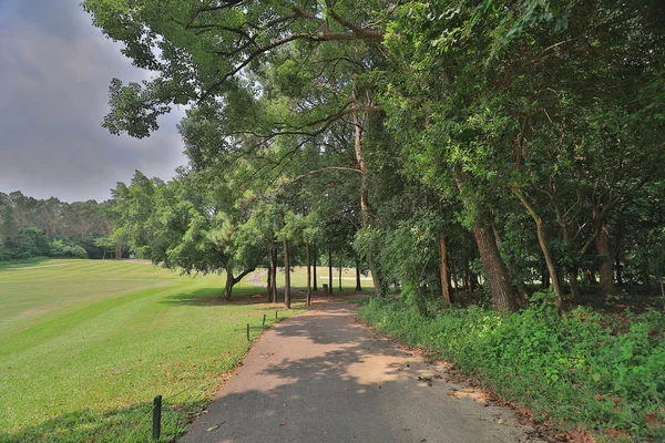 Ein Grüner Parkweg Golfplatz Par — Stockfoto