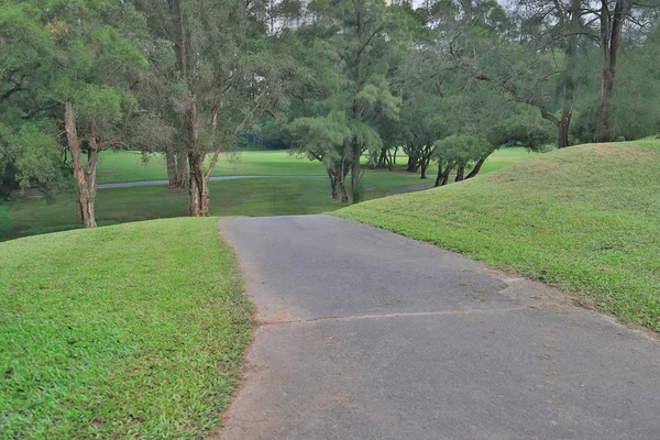 Zelený Park Cesta Cesta Golf Par — Stock fotografie