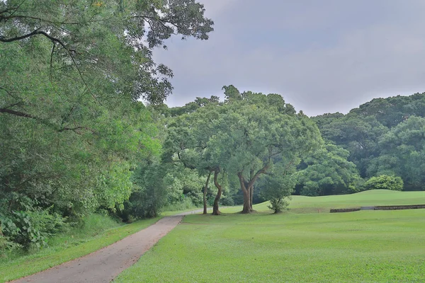 Bir Yeşil Park Yol Yol Golf Başabaş — Stok fotoğraf