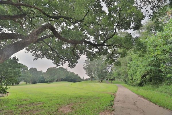 Ein Grüner Parkweg Golfplatz Par — Stockfoto