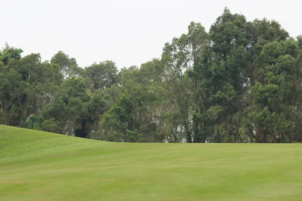 Hong Kong Country Club Golfpálya — Stock Fotó