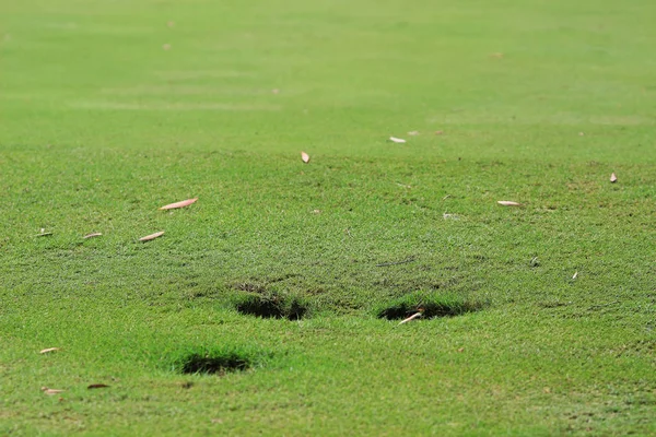 Hong Kong Country Club Golfpálya — Stock Fotó