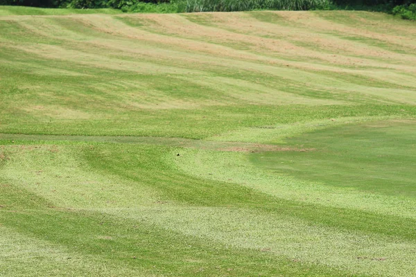 Campo Golfe Country Club Hong Kong — Fotografia de Stock