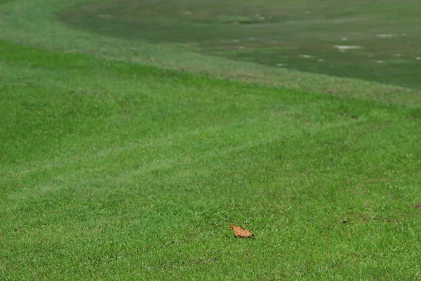 Campo Golfe Country Club Hong Kong — Fotografia de Stock