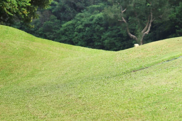 Hong Kong Country Club Golf Sahası — Stok fotoğraf