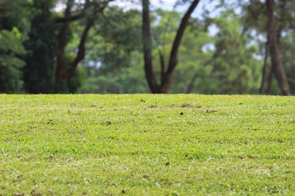 Country Club Golfbana Hong Kong — Stockfoto