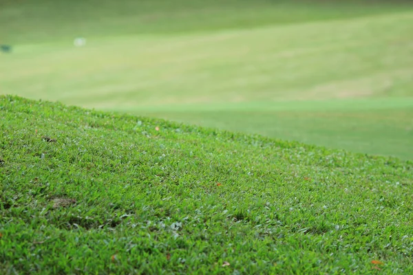 Campo Golfe Country Club Hong Kong — Fotografia de Stock