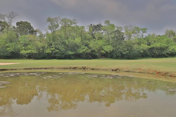 Golf Course Gorgeous Green Pond Stock Picture