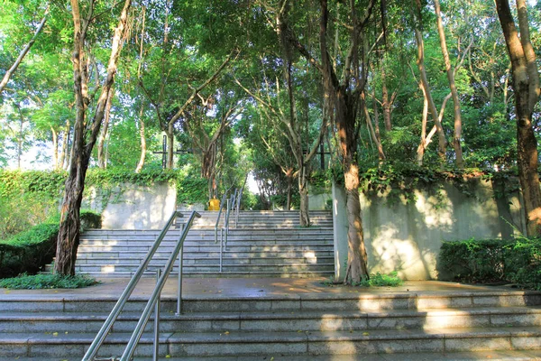 Tai Nábřeží Park Hong Kongu — Stock fotografie