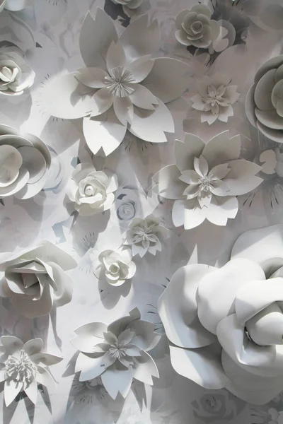 a white paper flowers on white back ground