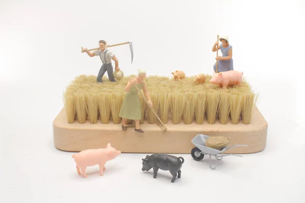 Fun Mini Figure Farmer Work — Stock Photo, Image