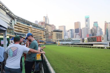 Happy Valley at yarış pisti oyunu jockey club 