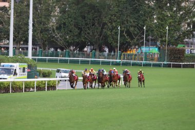 Happy Valley Racecourse yarış atı