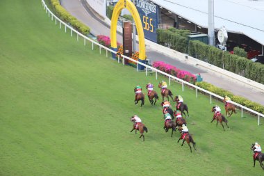 bir gün zaman mutlu Valley Racecourse h