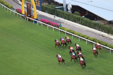 bir gün zaman mutlu Valley Racecourse h