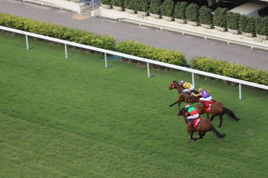 bir gün zaman mutlu Valley Racecourse h