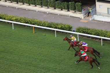bir gün zaman mutlu Valley Racecourse h