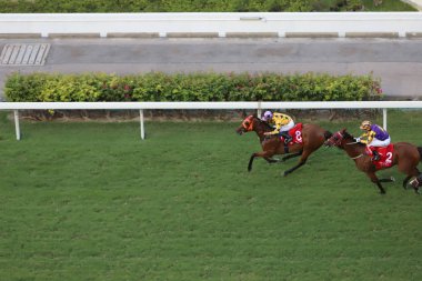 bir gün zaman mutlu Valley Racecourse h