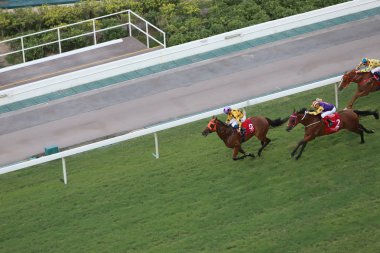 bir gün zaman mutlu Valley Racecourse h