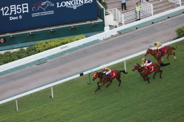 bir gün zaman mutlu Valley Racecourse h