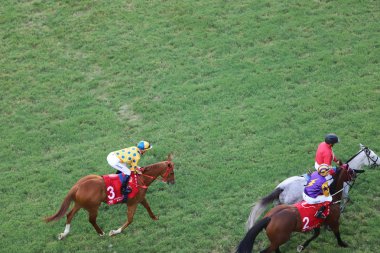 Happy Valley Racecourse yarış atı 