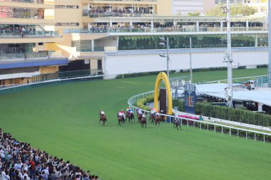 Hong Kong Jockey Club adlı yarış atı.