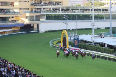 Hong Kong Jockey Club adlı yarış atı.