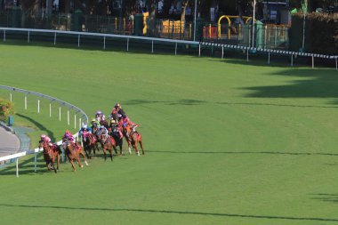 Happy Valley Yarış sahasında yarış günü 